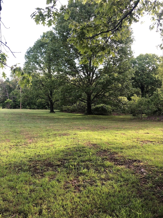 3894 Girlstown Rd, Mountain Grove, MO 65711 - view of green lawn