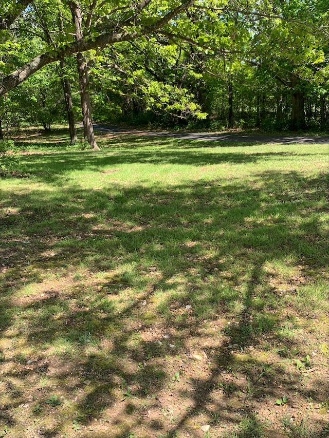 3894 Girlstown Rd, Mountain Grove, MO 65711 - view of green lawn featuring a wooded view
