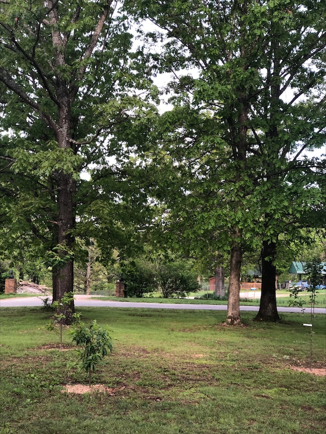 3894 Girlstown Rd, Mountain Grove, MO 65711 - view of community featuring a yard