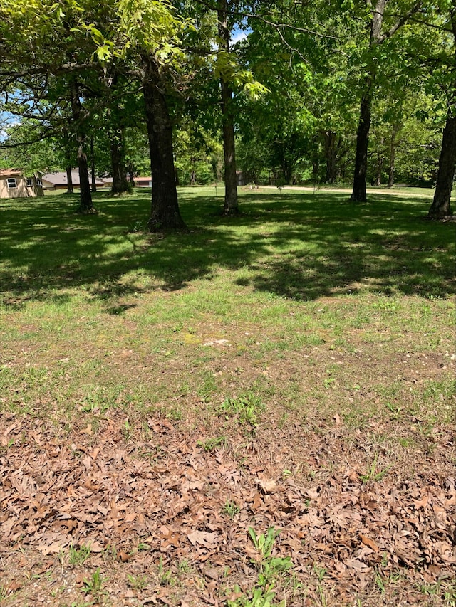 3894 Girlstown Rd, Mountain Grove, MO 65711 - view of green lawn