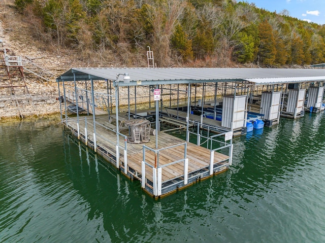 view of dock featuring a water view and boat lift