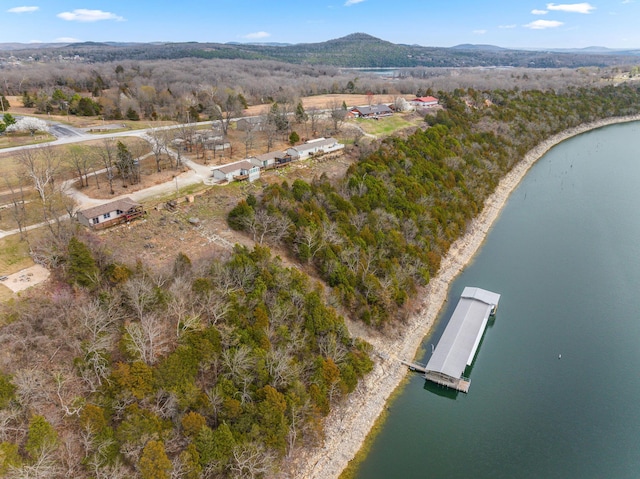 birds eye view of property featuring a water and mountain view