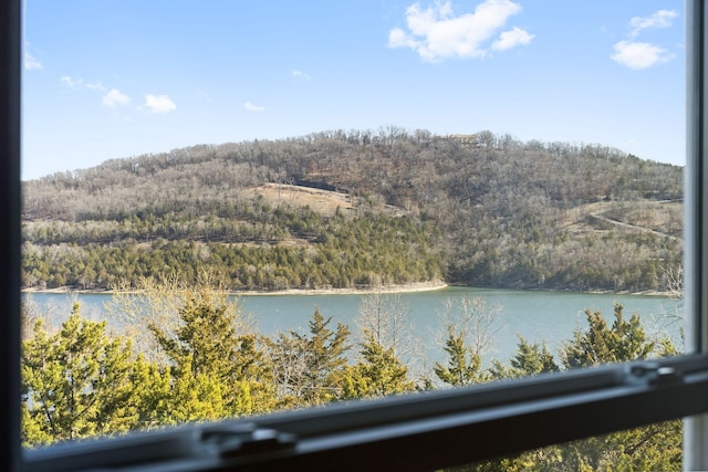 view of water feature featuring a forest view