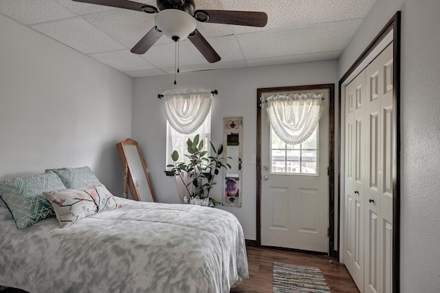 bedroom featuring dark wood-type flooring, a closet, a drop ceiling, and a ceiling fan