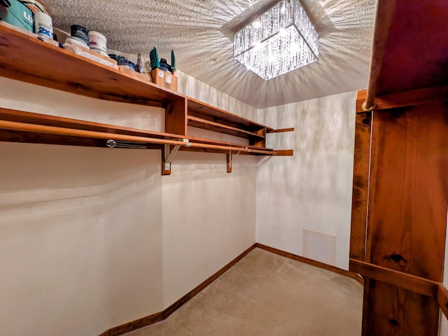 walk in closet featuring an inviting chandelier and carpet