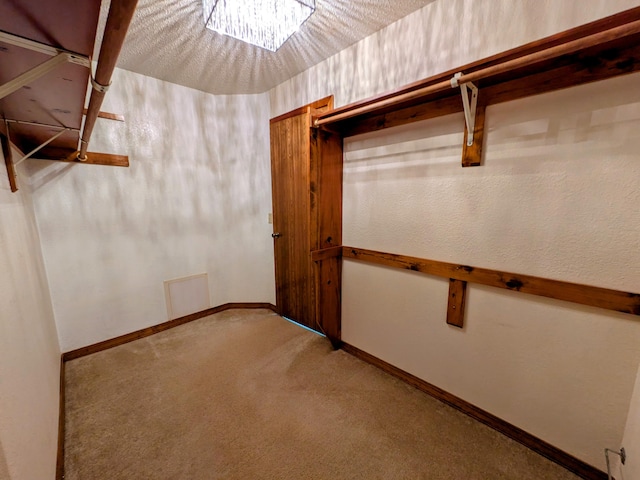 spacious closet with carpet