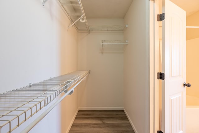 spacious closet featuring wood finished floors