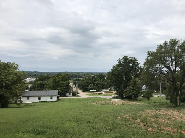 1058 Lincoln Ave, West Plains, MO 65775 - photo 5
