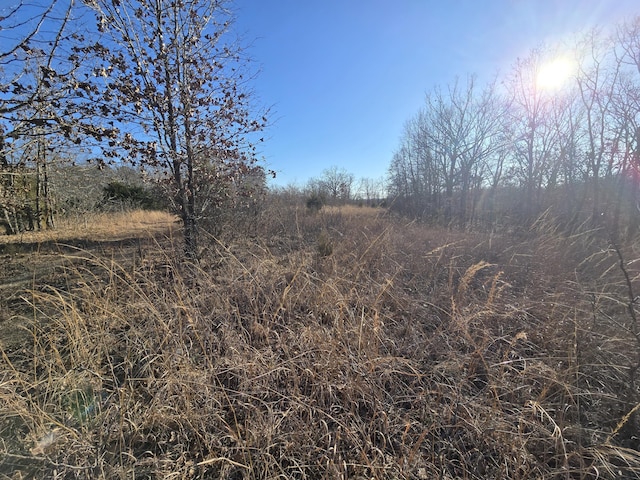 view of local wilderness