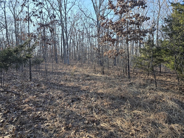 view of local wilderness