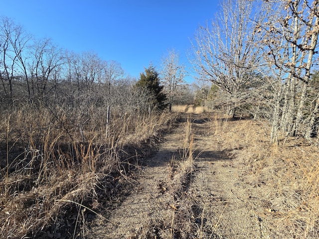 view of local wilderness