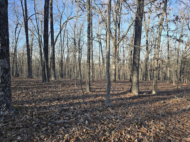 view of local wilderness