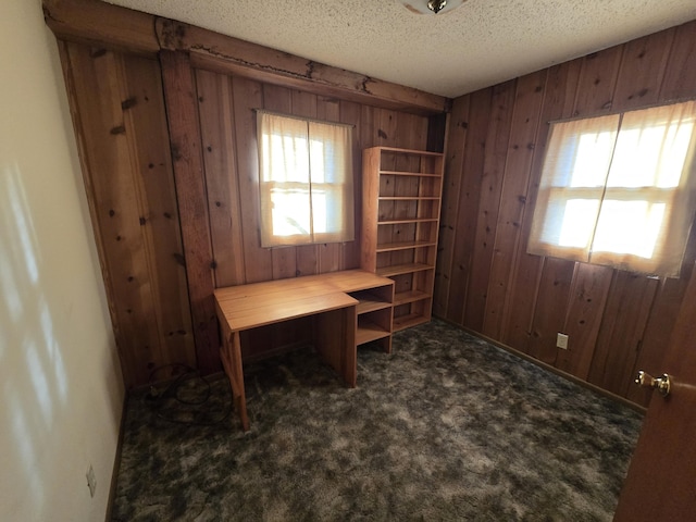 carpeted home office featuring plenty of natural light, wooden walls, and a textured ceiling