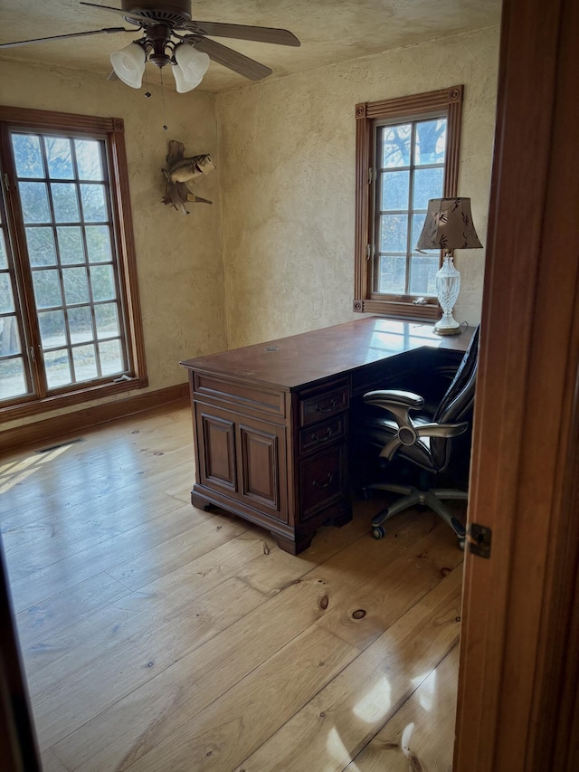 office with light wood-style flooring, ceiling fan, and a textured wall