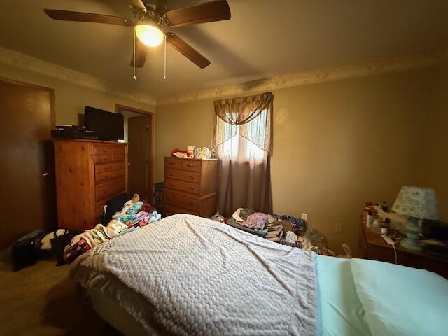 bedroom with ceiling fan