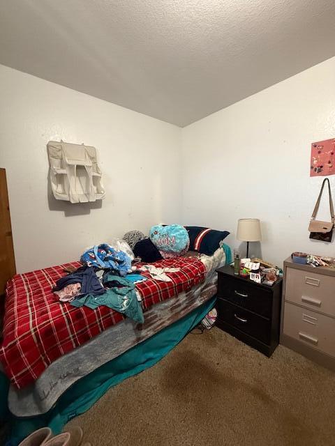 bedroom with carpet floors and a textured ceiling