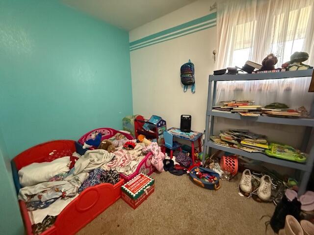 bedroom featuring carpet floors