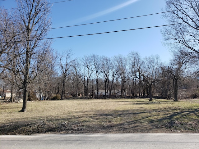 000 N 3rd St, Verona MO, 65769 land for sale