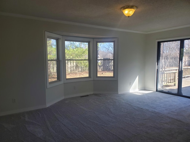 carpeted spare room featuring crown molding, a textured ceiling, baseboards, and a healthy amount of sunlight