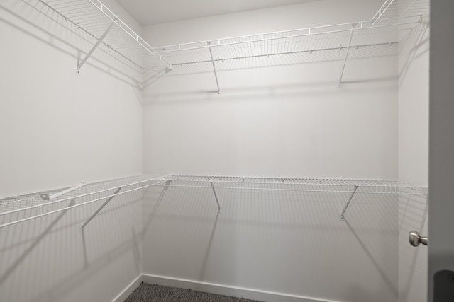1756 Cash Dr, Mount Vernon, MO 65712 - walk in closet with carpet flooring