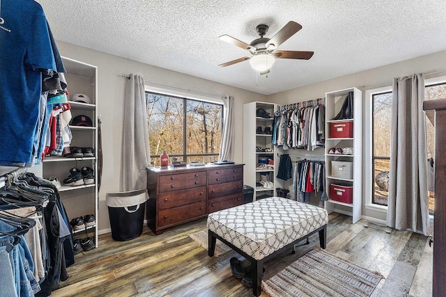 walk in closet with a ceiling fan and wood finished floors