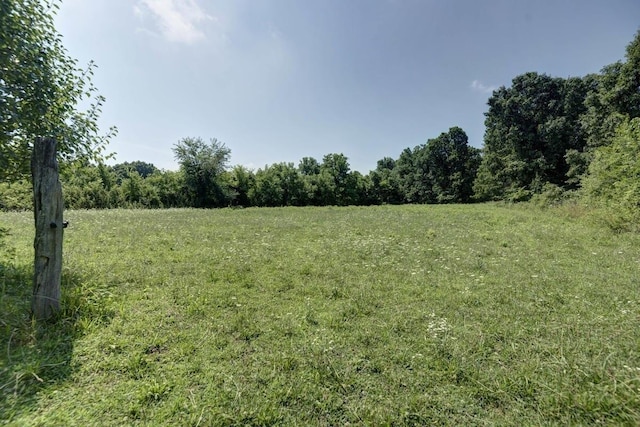 view of local wilderness