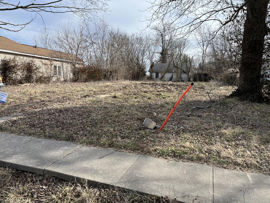 216 S Main St, Licking, MO 65542 - photo 3