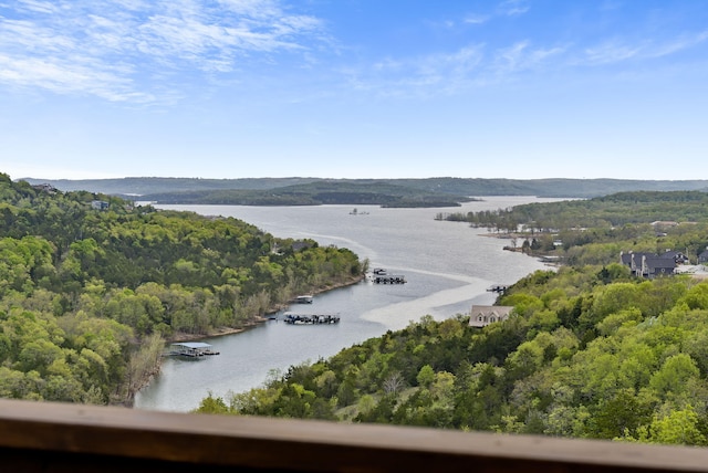 water view featuring a view of trees