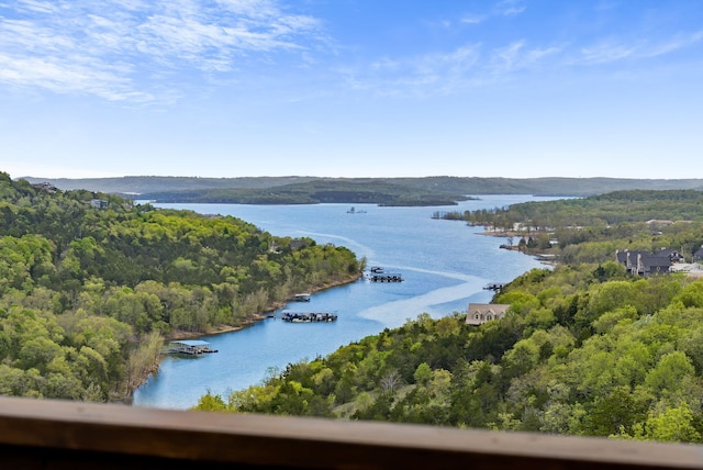 property view of water with a wooded view