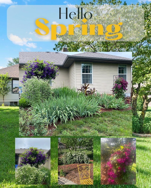 view of front of property with a front yard