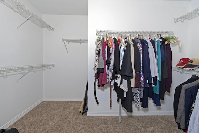 walk in closet with carpet