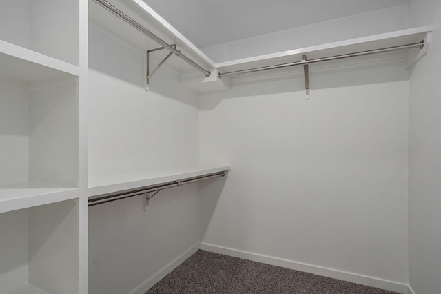 spacious closet featuring dark carpet