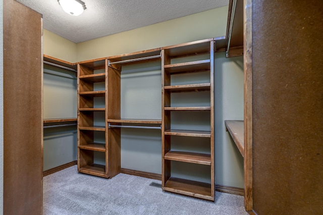 walk in closet with carpet floors