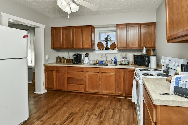 kitchen with white appliances, dark wood finished floors, brown cabinets, light countertops, and a sink