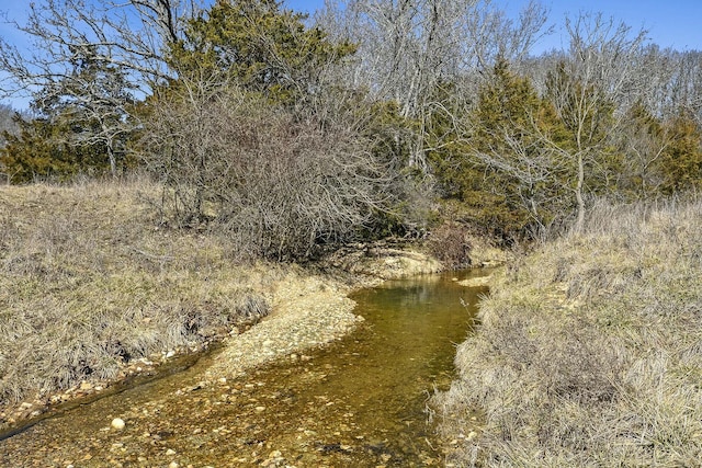 view of landscape featuring a view of trees