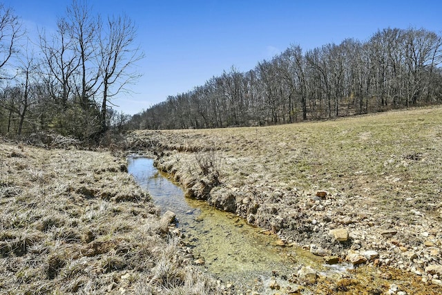 view of landscape featuring a wooded view