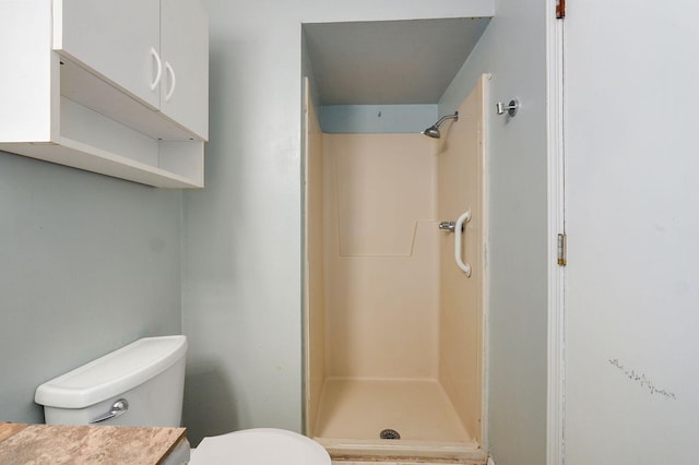 full bathroom featuring a shower stall and toilet