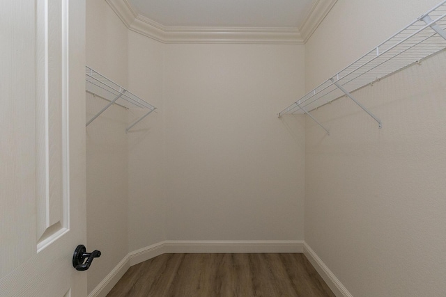 walk in closet featuring wood finished floors