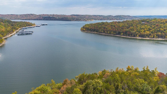 property view of water featuring a view of trees