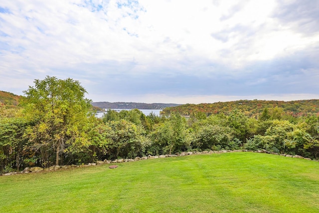 view of yard with a water view and a view of trees