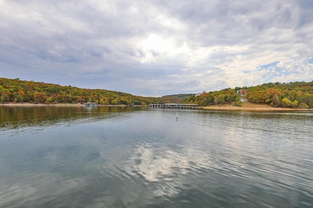 property view of water with a forest view