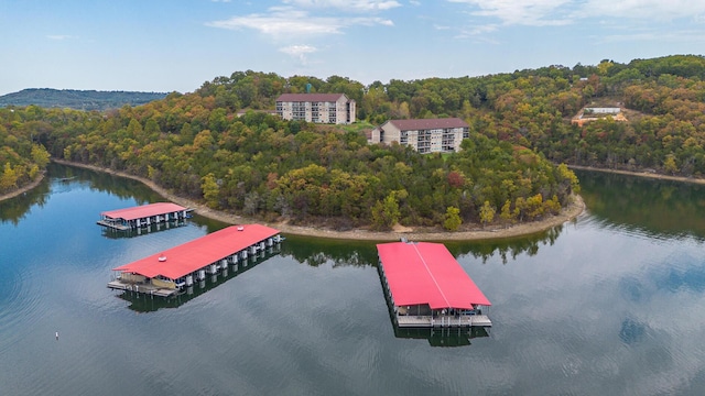 drone / aerial view featuring a water view and a wooded view