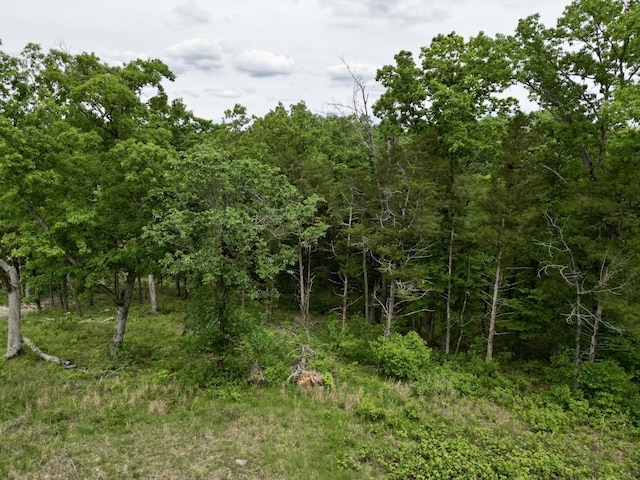 152 Shinnecock Hills Dr, Branson, MO 65616