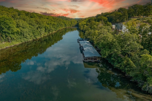 water view with a wooded view and a floating dock