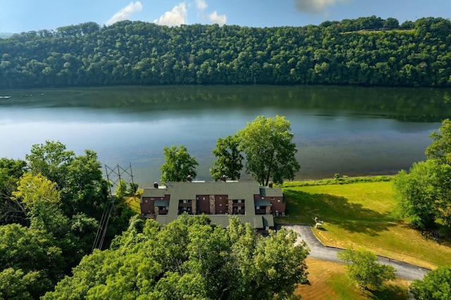 bird's eye view featuring a water view and a view of trees