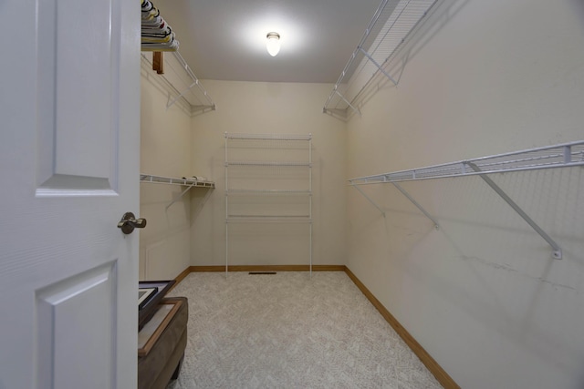 245 Wildflower Rd, Kimberling City, MO 65686 - walk in closet with carpet