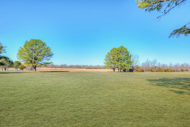 view of yard with a rural view