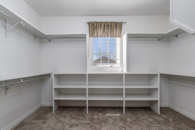 walk in closet with carpet and visible vents