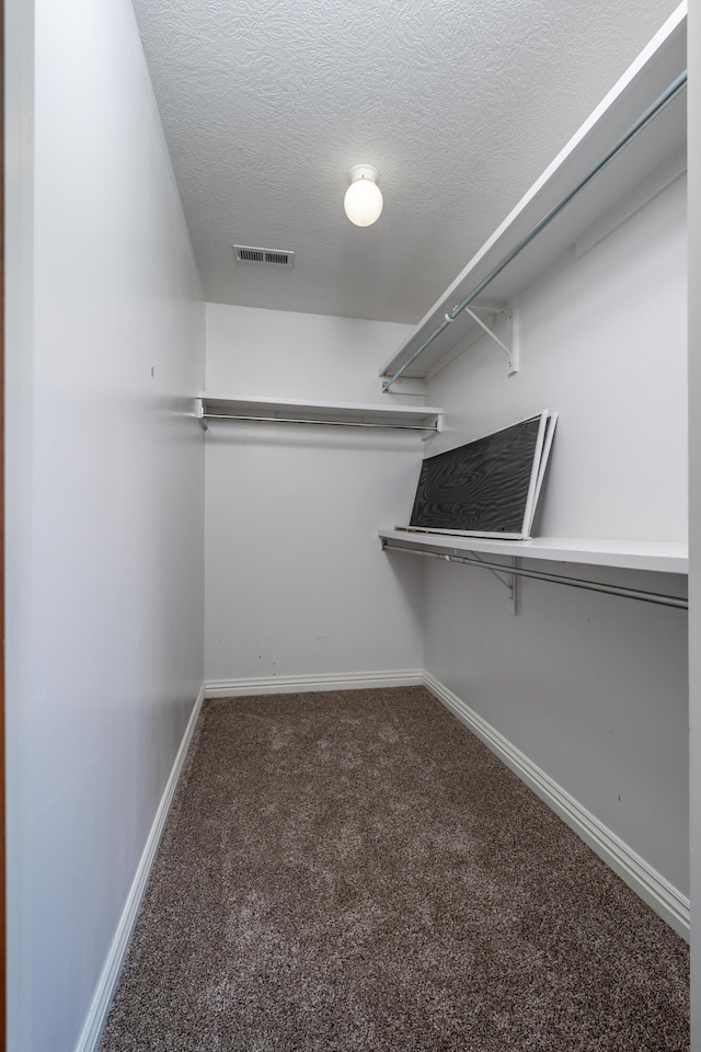 spacious closet with carpet floors and visible vents