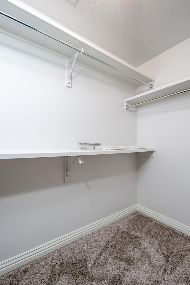 spacious closet featuring carpet flooring